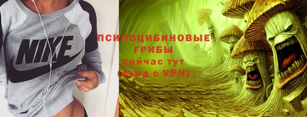 молекула духа Белокуриха