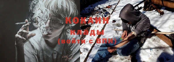 молекула духа Белокуриха