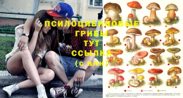 экстази Баксан